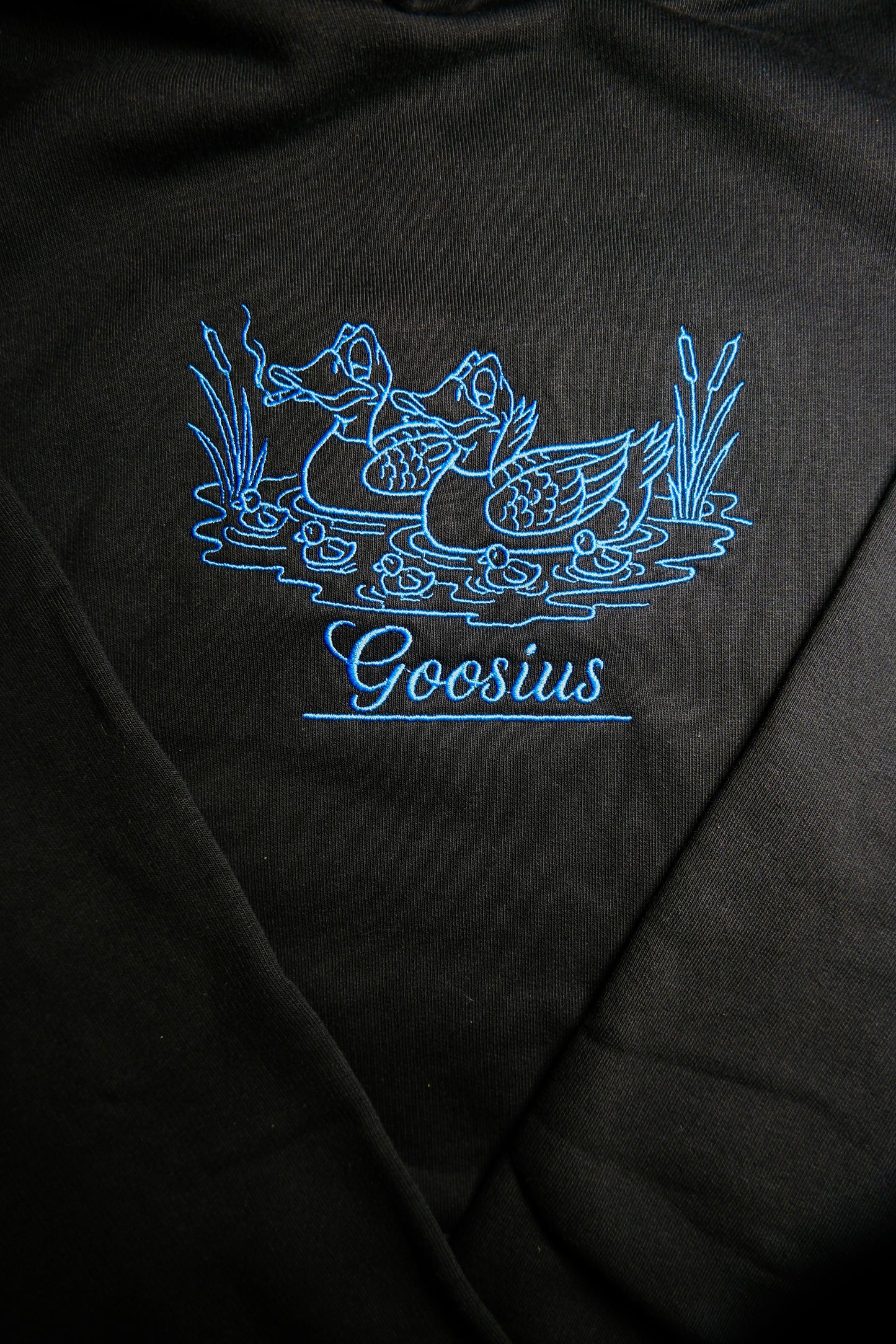 Hoodie 01 - Blue Embroidery